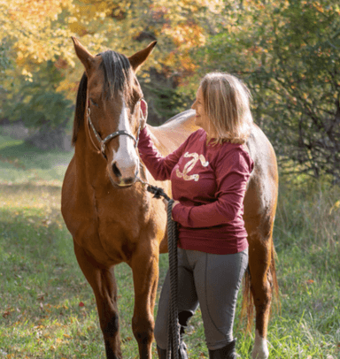 Ziggy's auto and Barn Center avatar