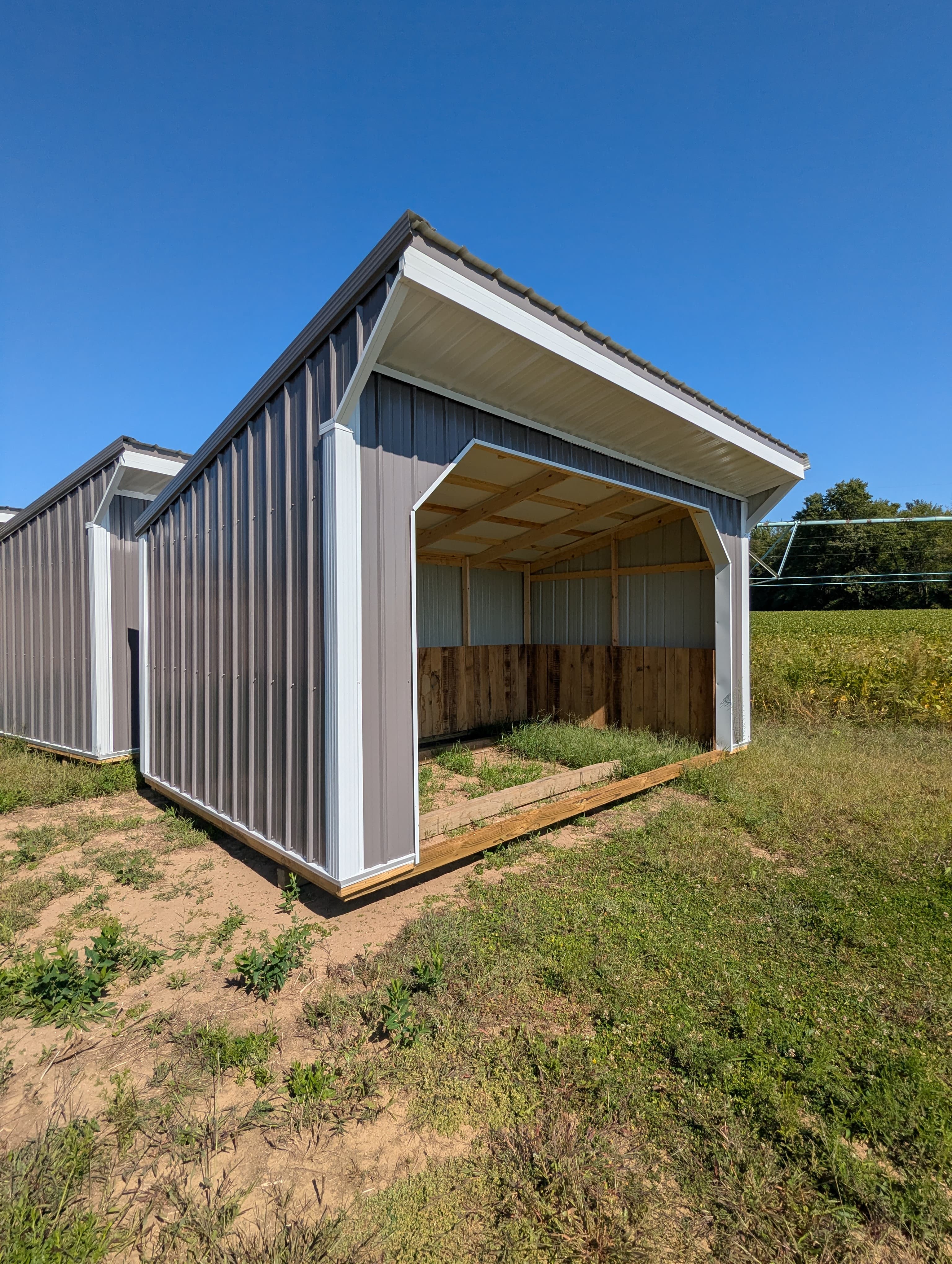 Stock Grey Horse Run In 10 x 16