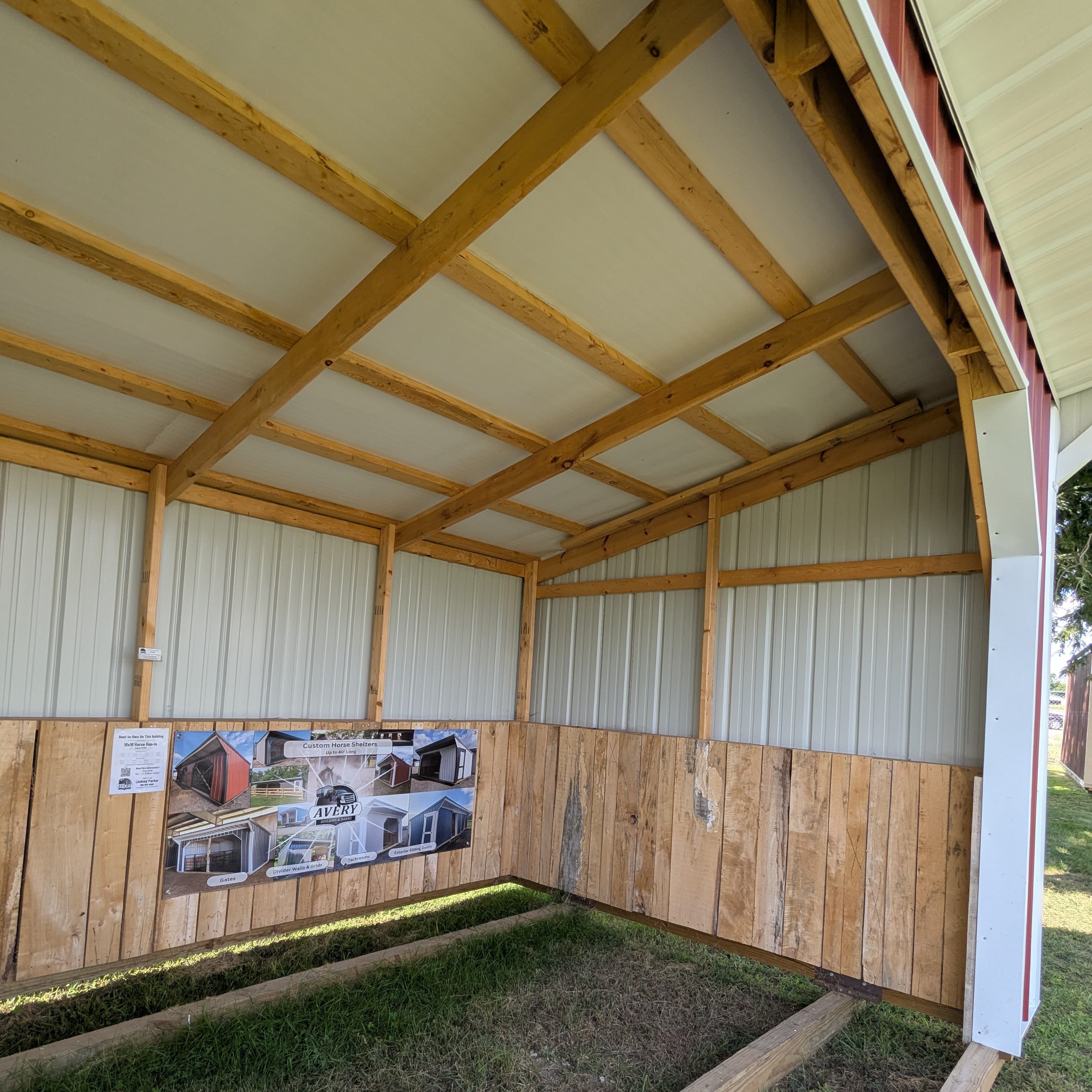 Stock Red Horse Run In 10 x 16