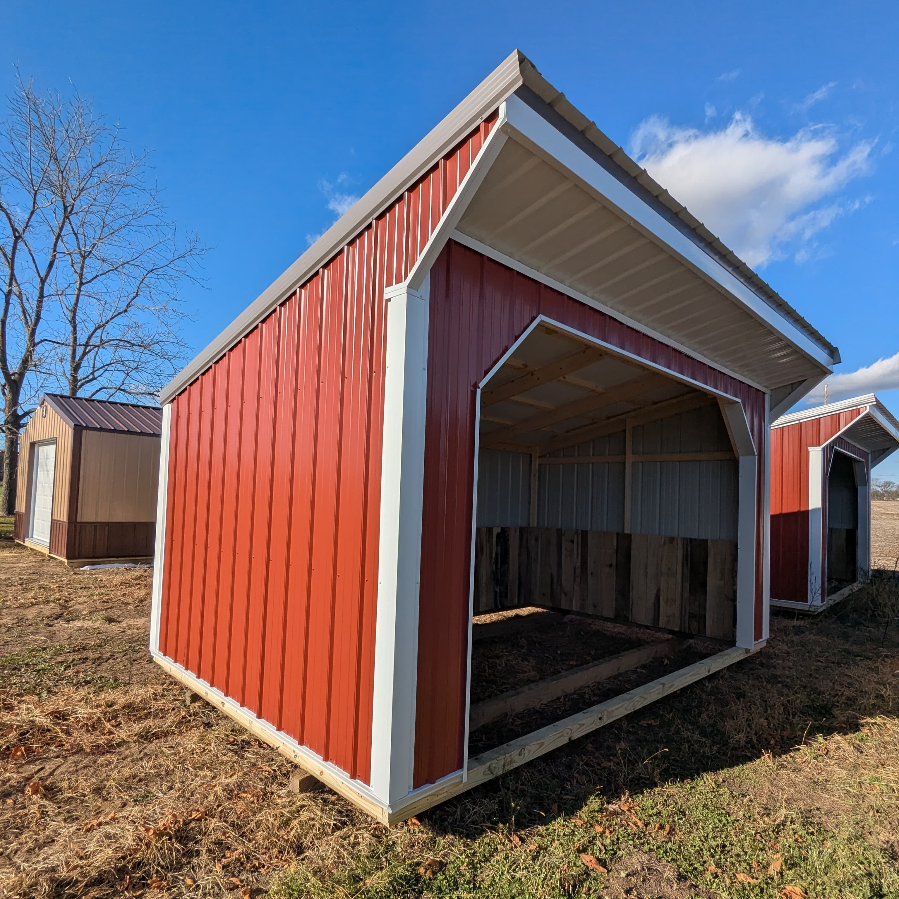 #5202 - Horse Run In 10x16