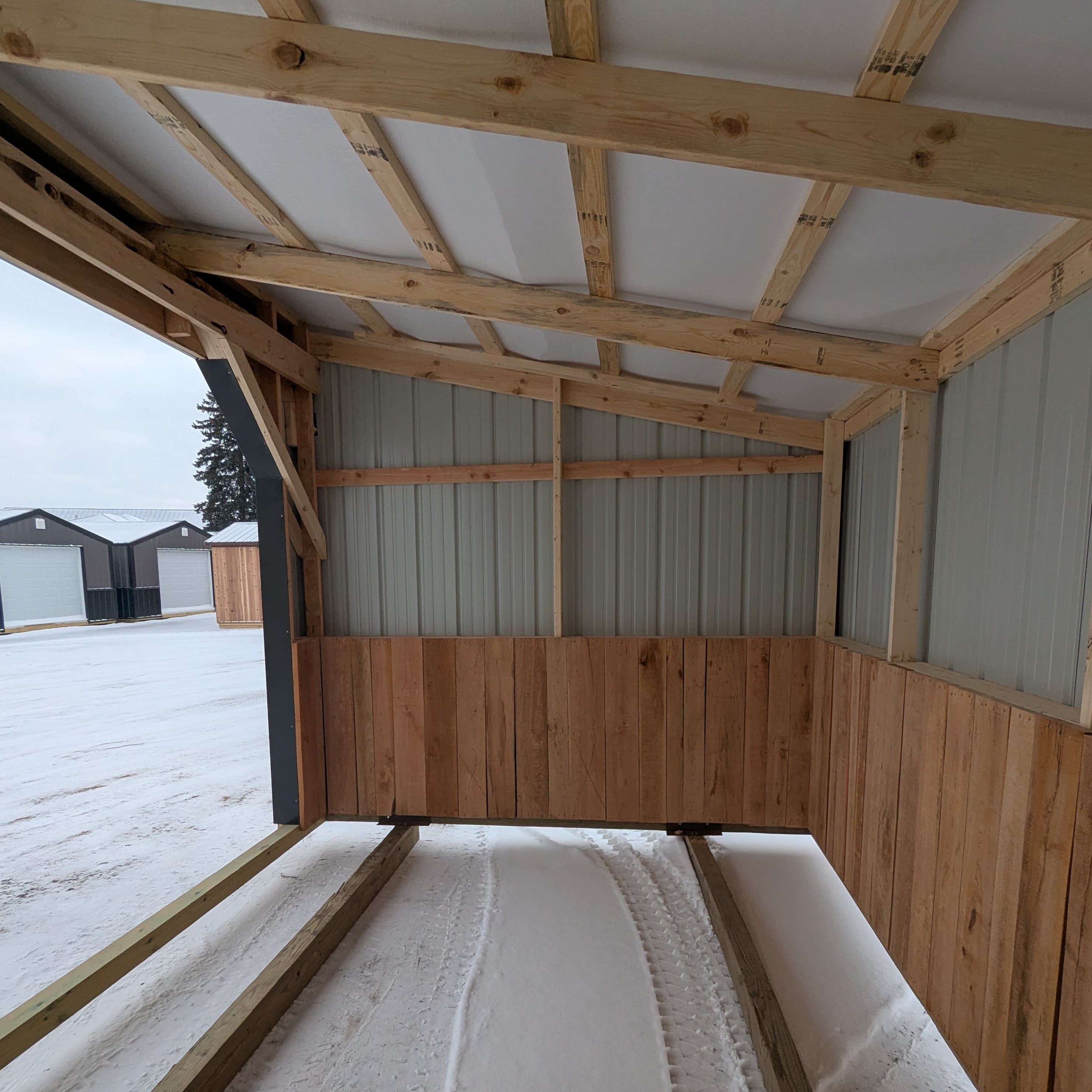 Horse Run In 10 x 16