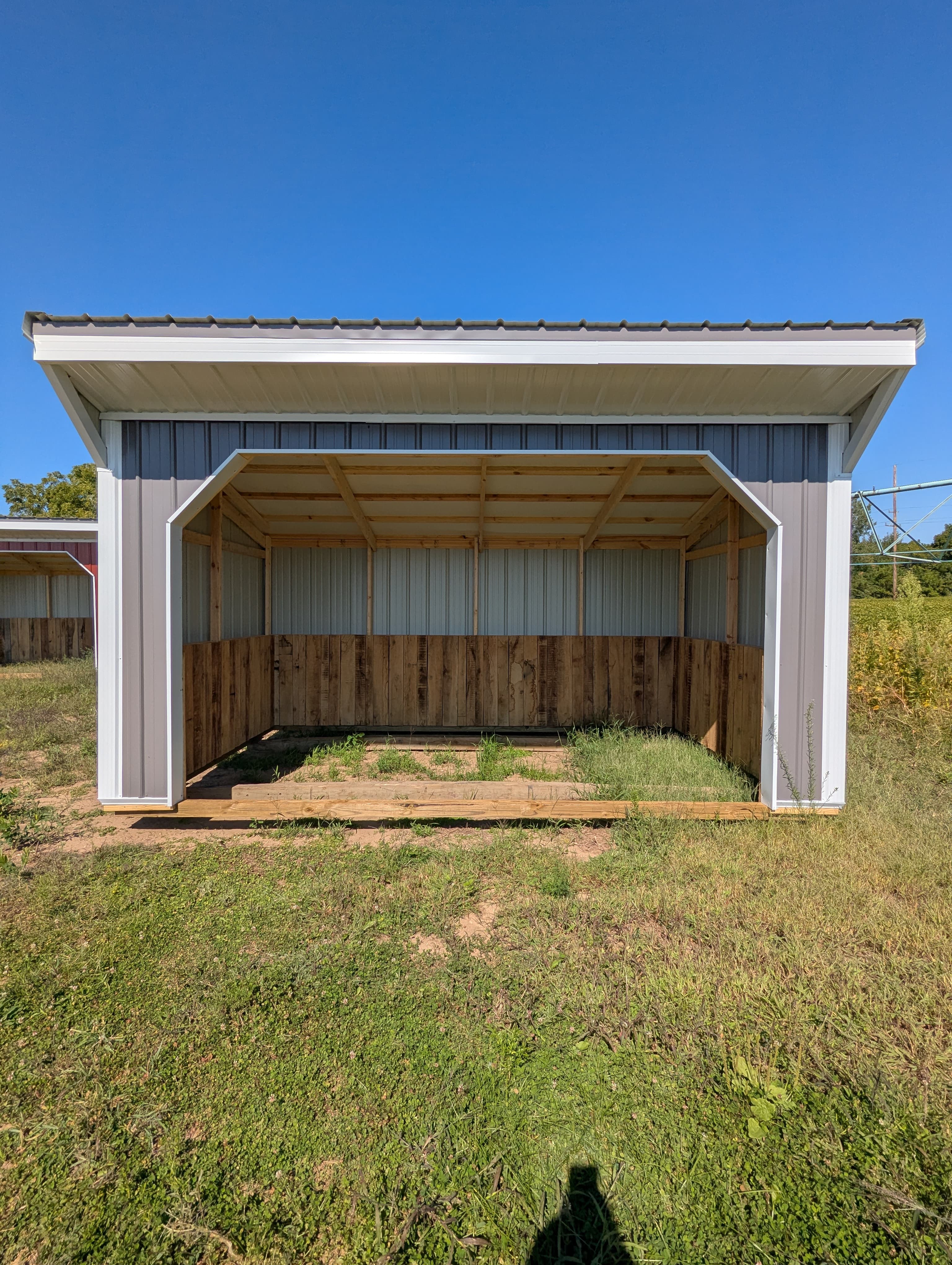 Stock Grey Horse Run In 10 x 16