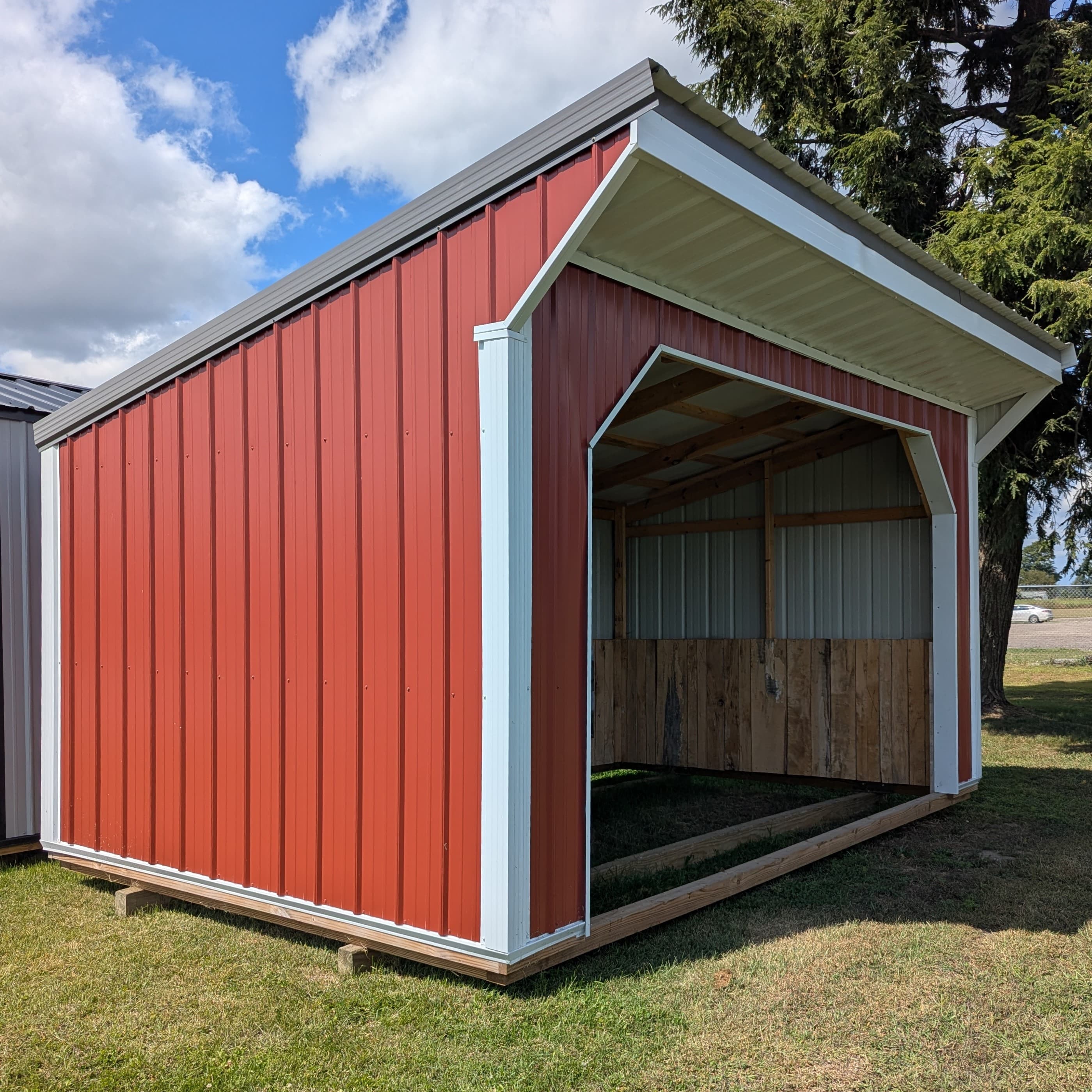 Stock Red Horse Run In 10 x 16