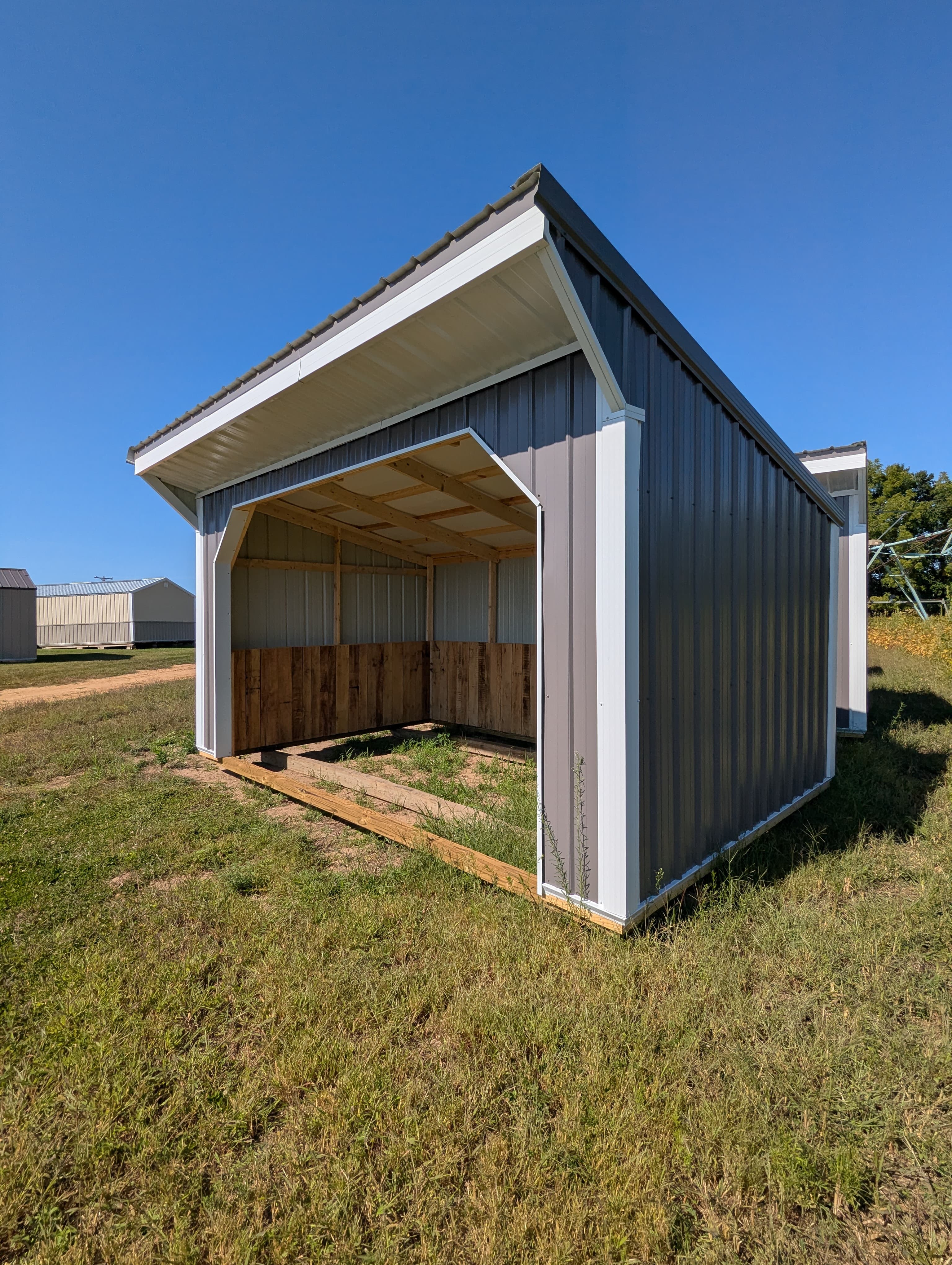 Stock Grey Horse Run In 10 x 16