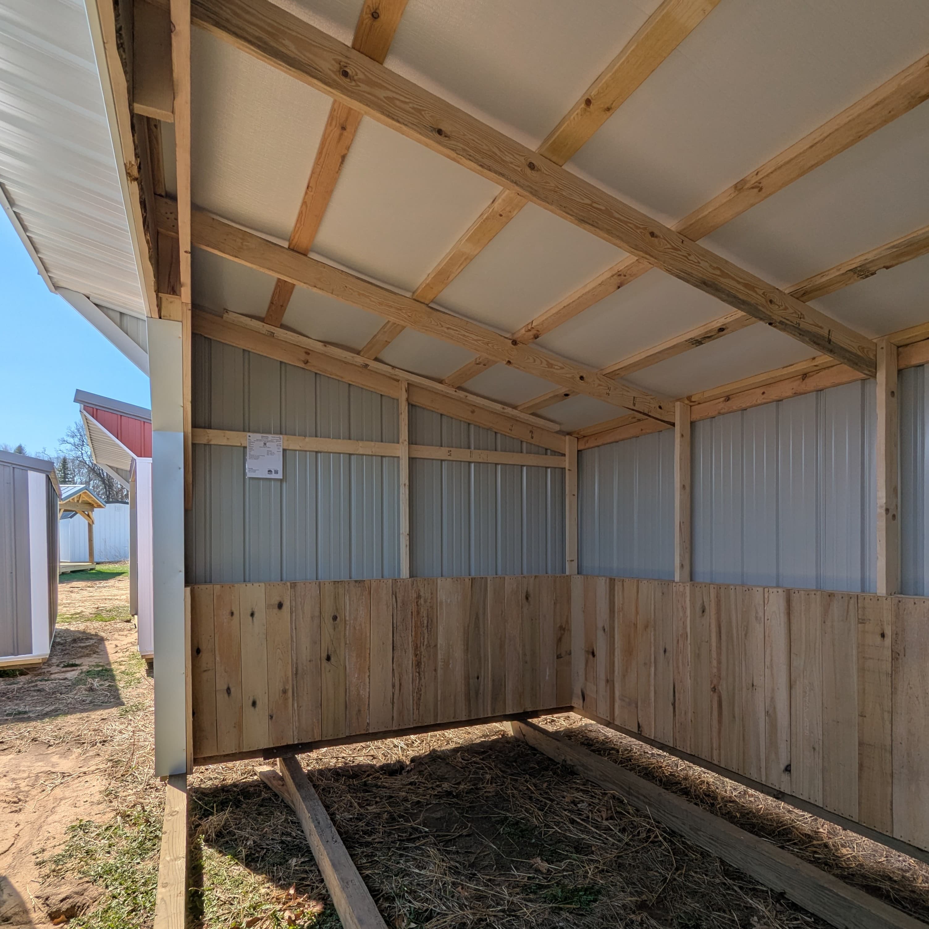 Horse Run In 10 x 16