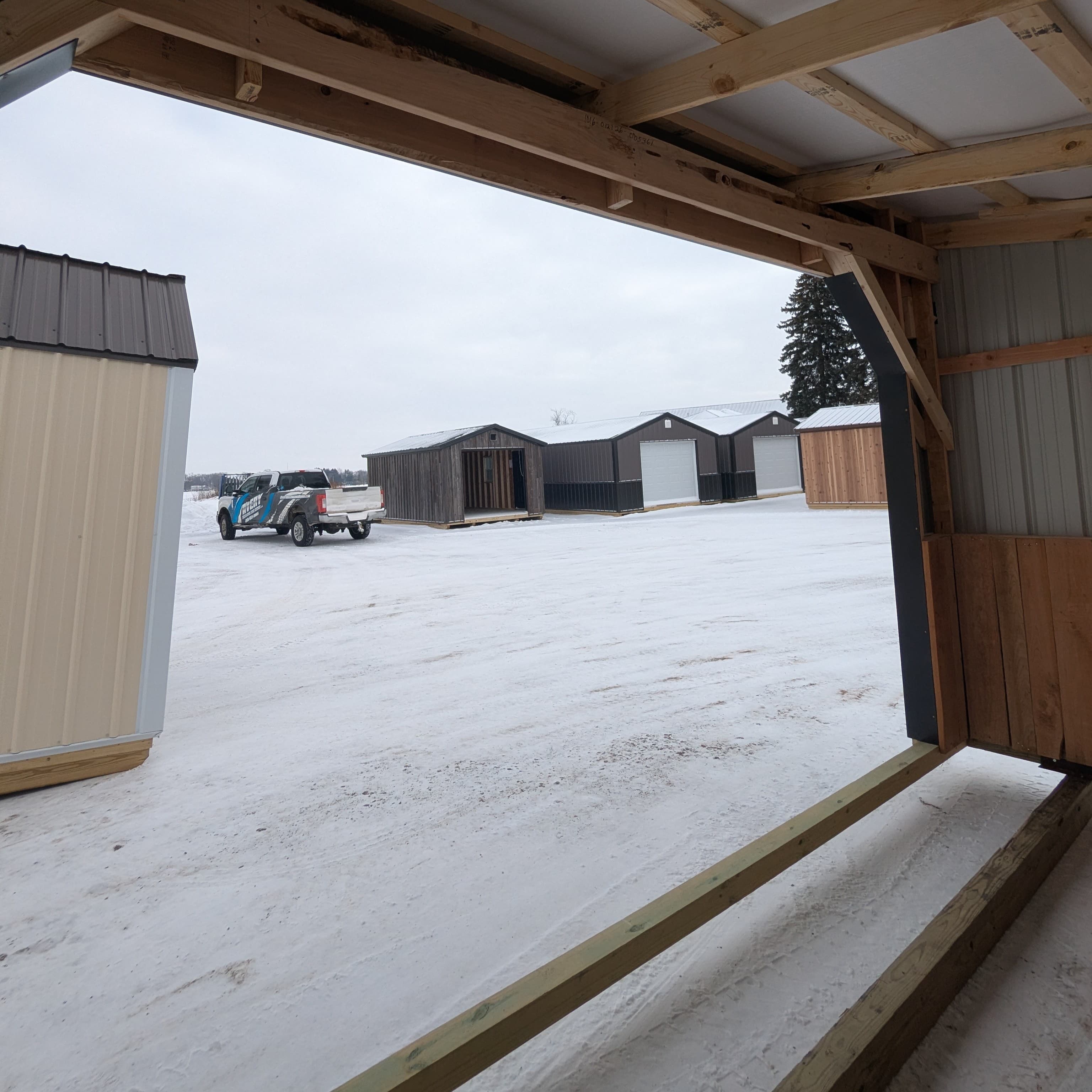 Horse Run In 10 x 16