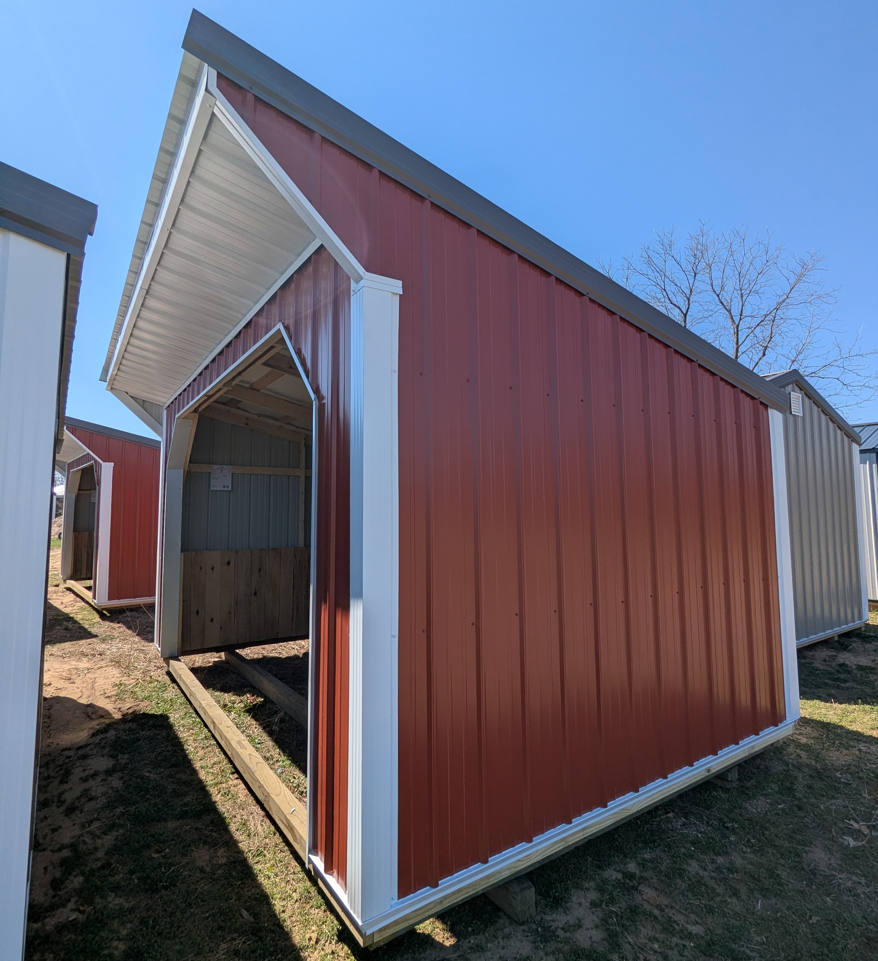 Horse Run In 10 x 16